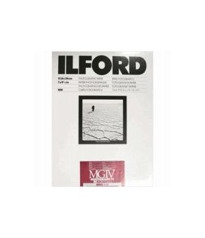 ILFORD MGRC PORTFOLIO PEARL 44K 30,5X40,6 / 10 1181641